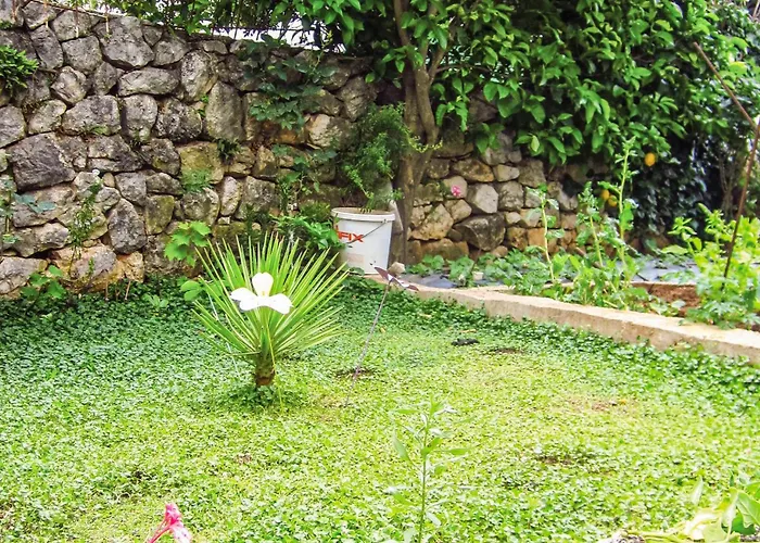 Apartment Apartment Cavtat Rogisiceva Tiha